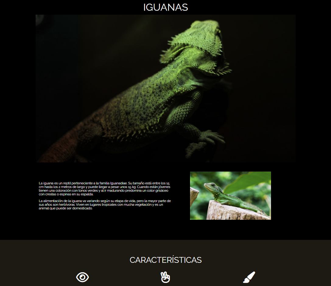 Foto Landing Page